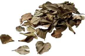Djeroek poeroet gedroogd 100gr